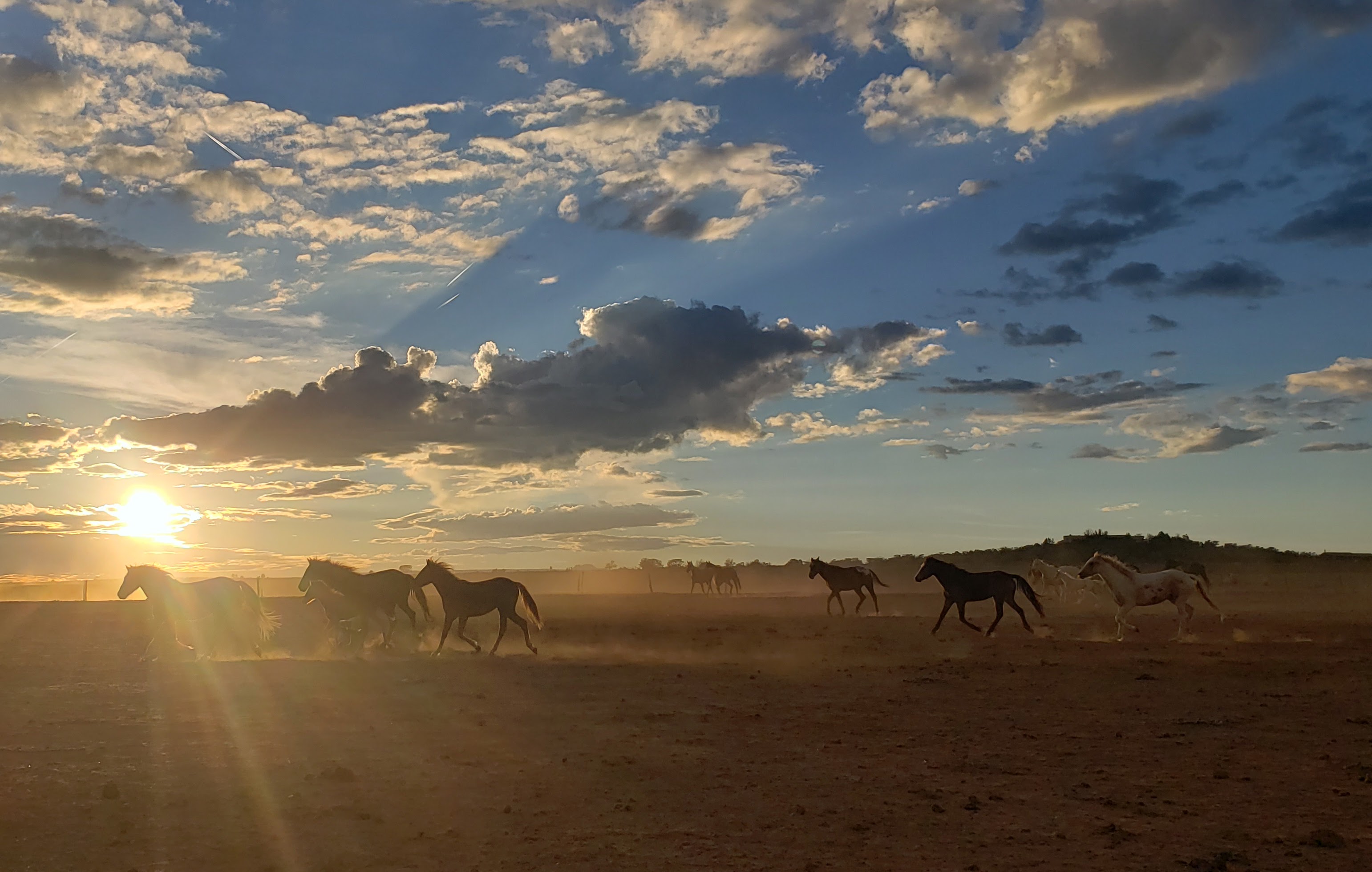 Wild horses running free at sunset across Utah desert ranchland at Majesty LC
